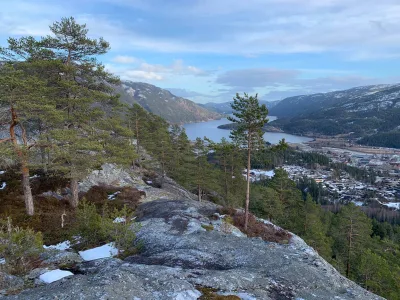 Høgås