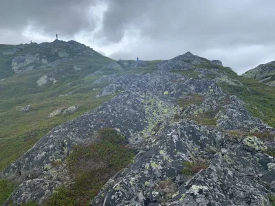 Vålånut