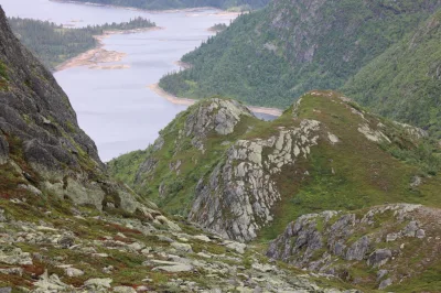 Marigrøi