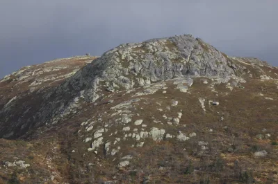 Fyljomsnuten