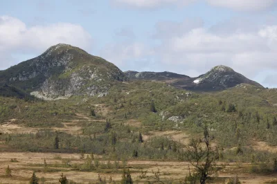 Lekkjenuten