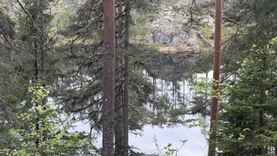 Neslandstjønni