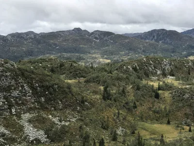 Knurrlinatten