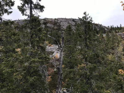 Skuggelifjell