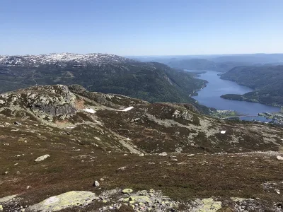 Gøysen