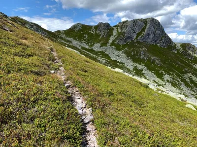 Hestenutan