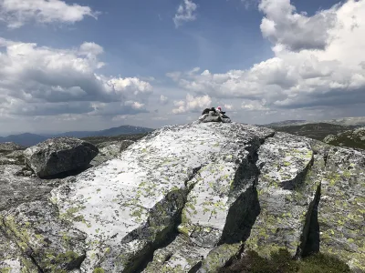 Astridnatten