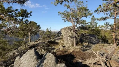 Vesle Årnoteren