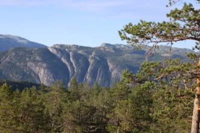 Skogstur