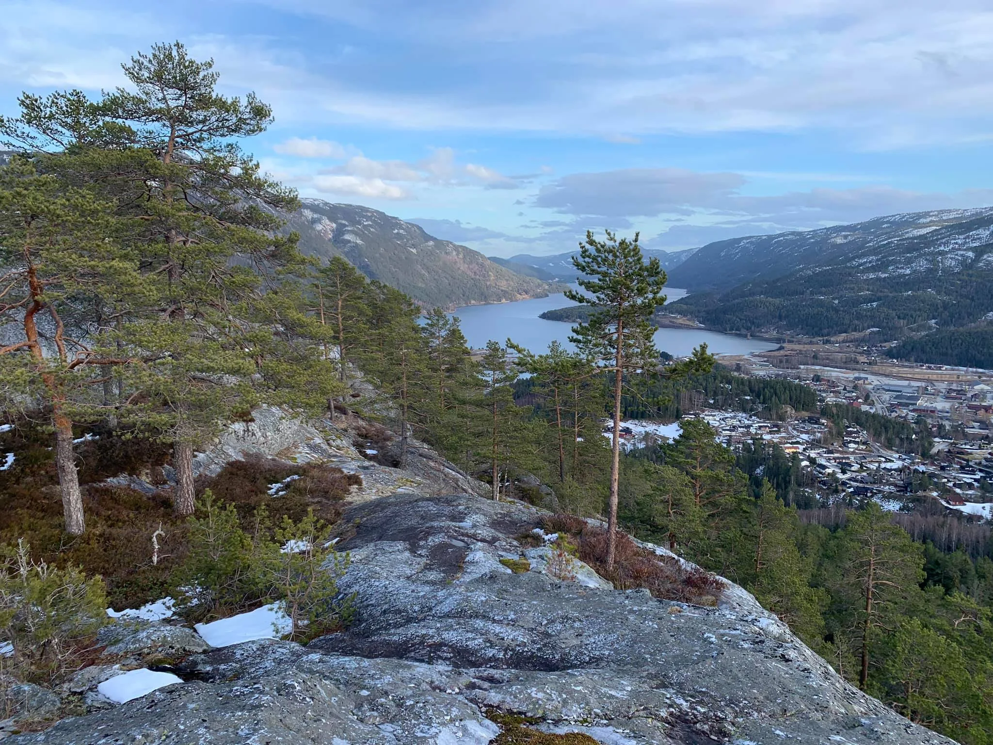 Høgås