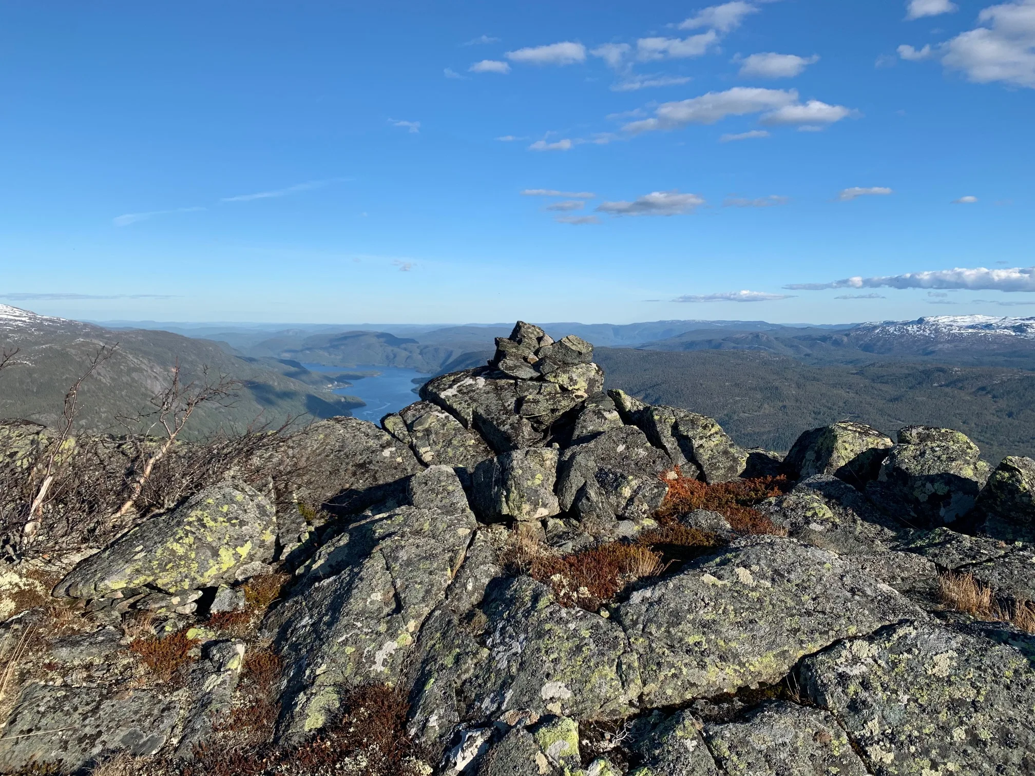 Såvestaulnuten