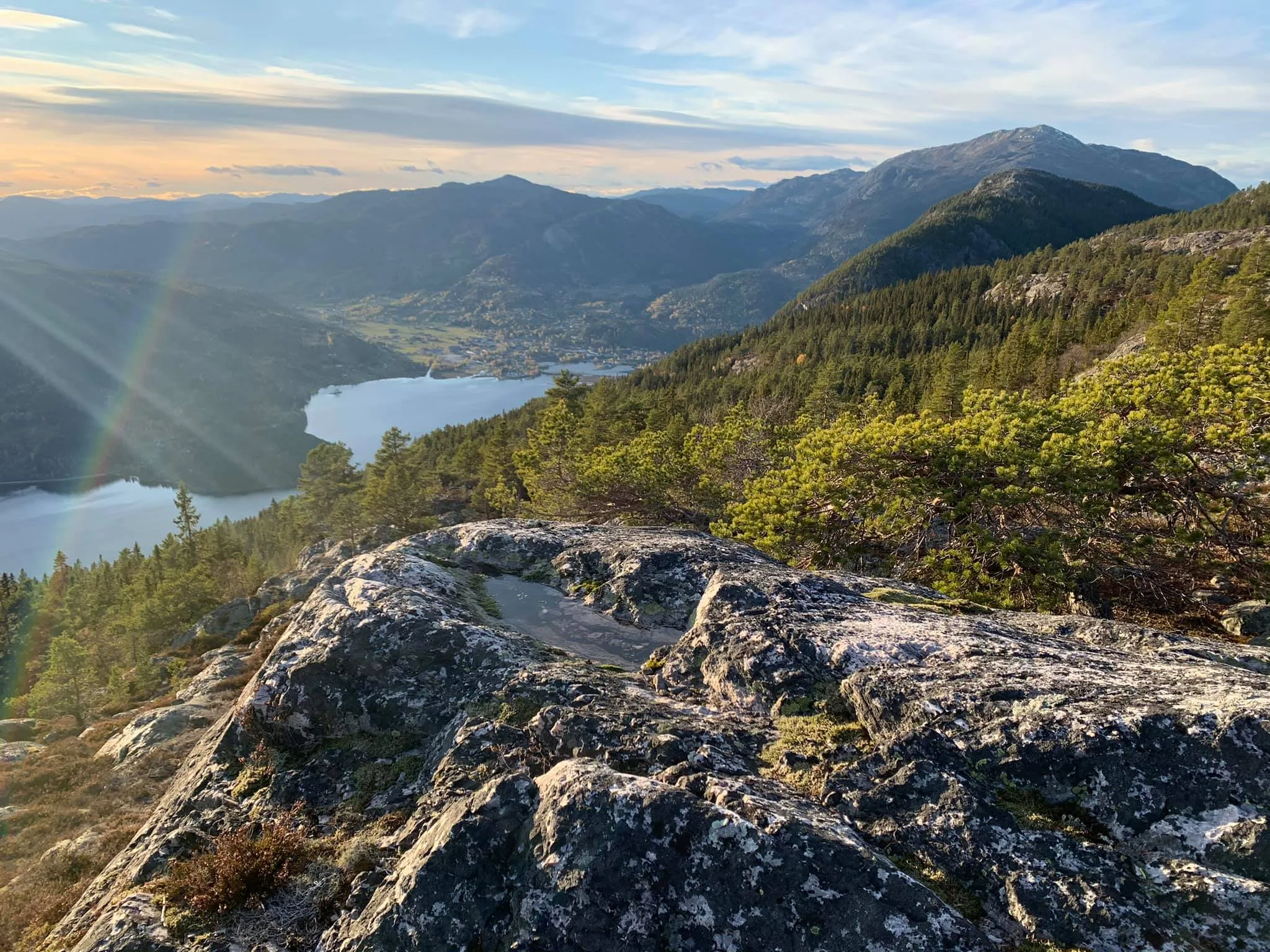 Mørkedalsnutane