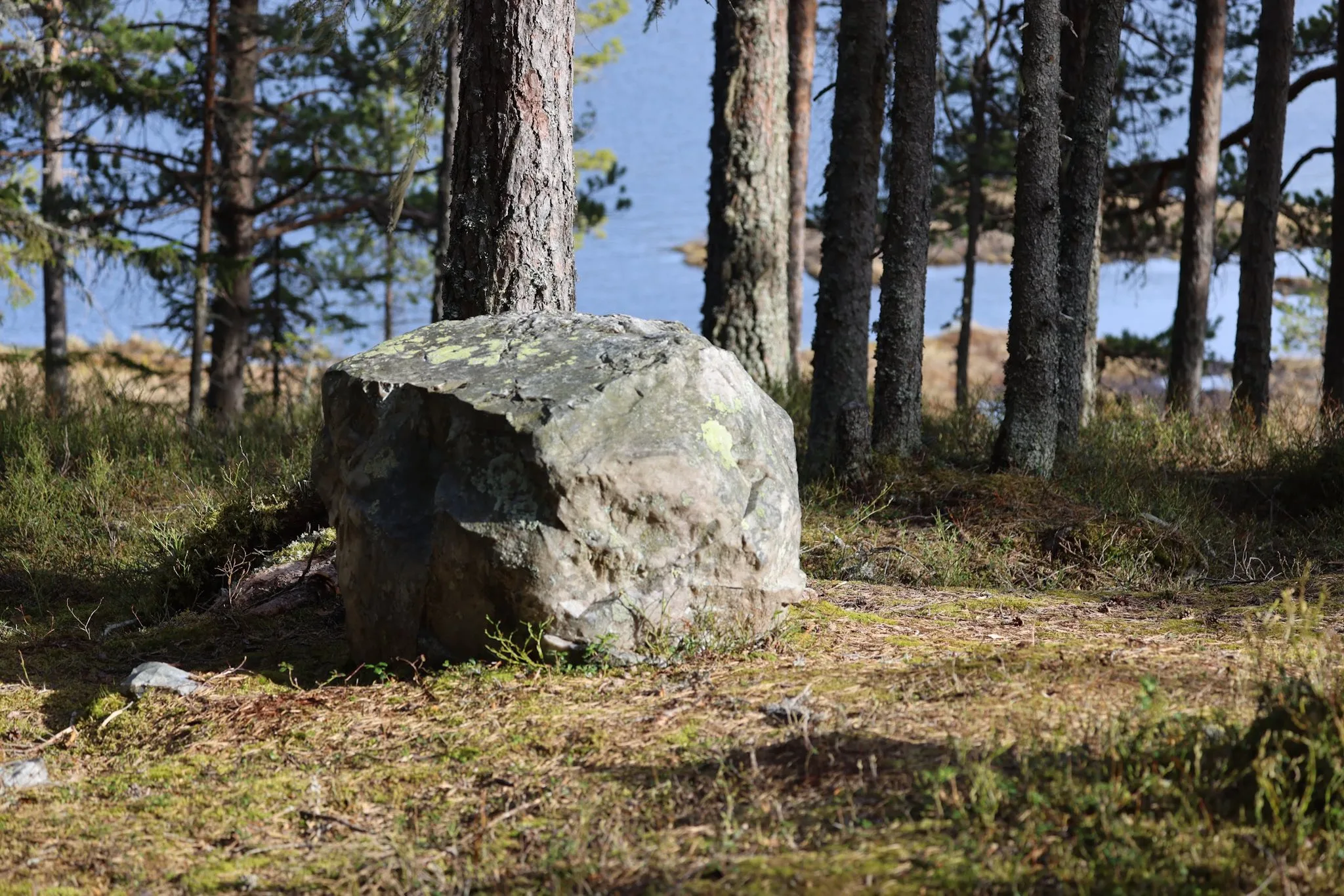 Havretjønn