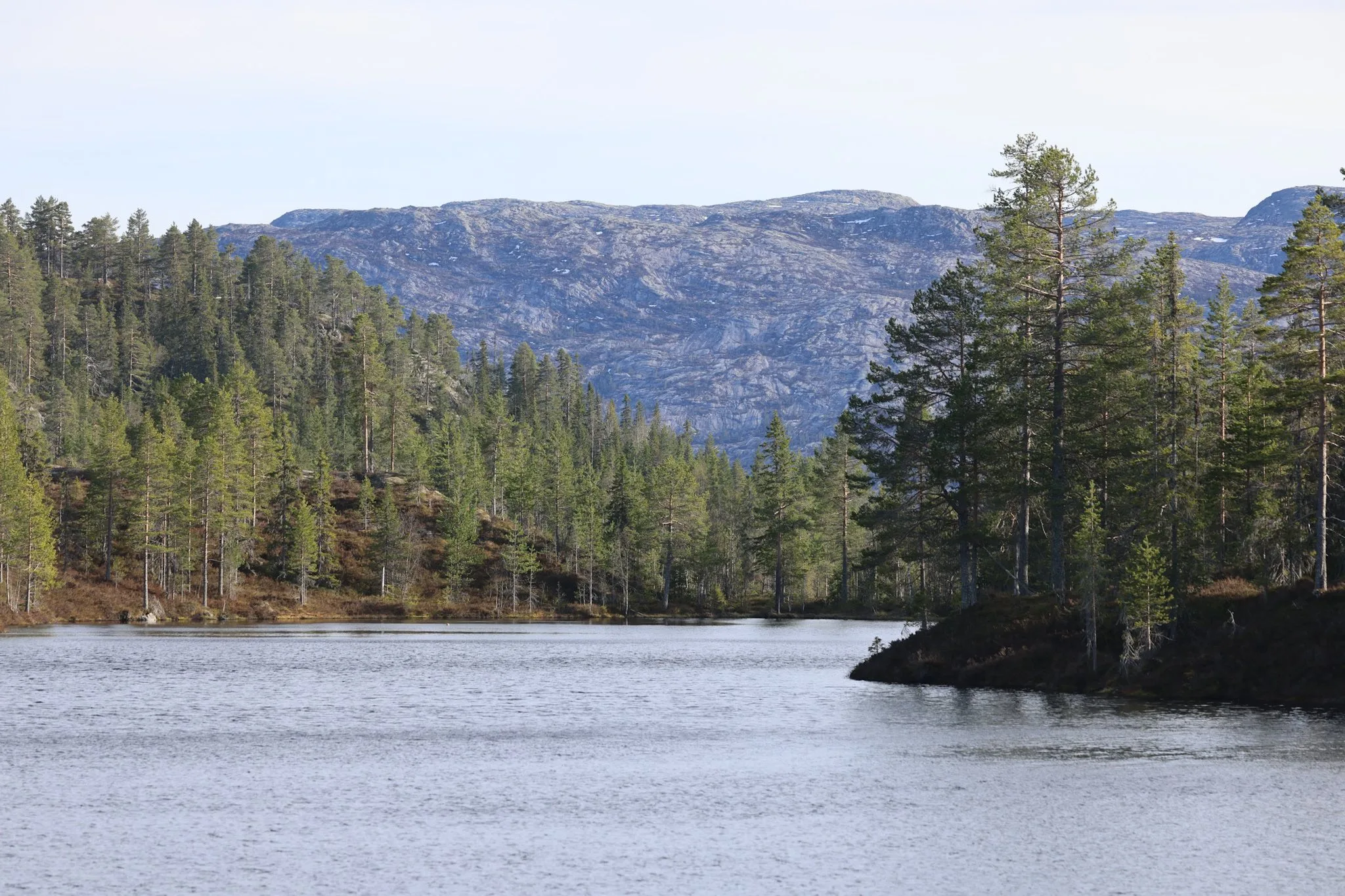 Kroktjønn