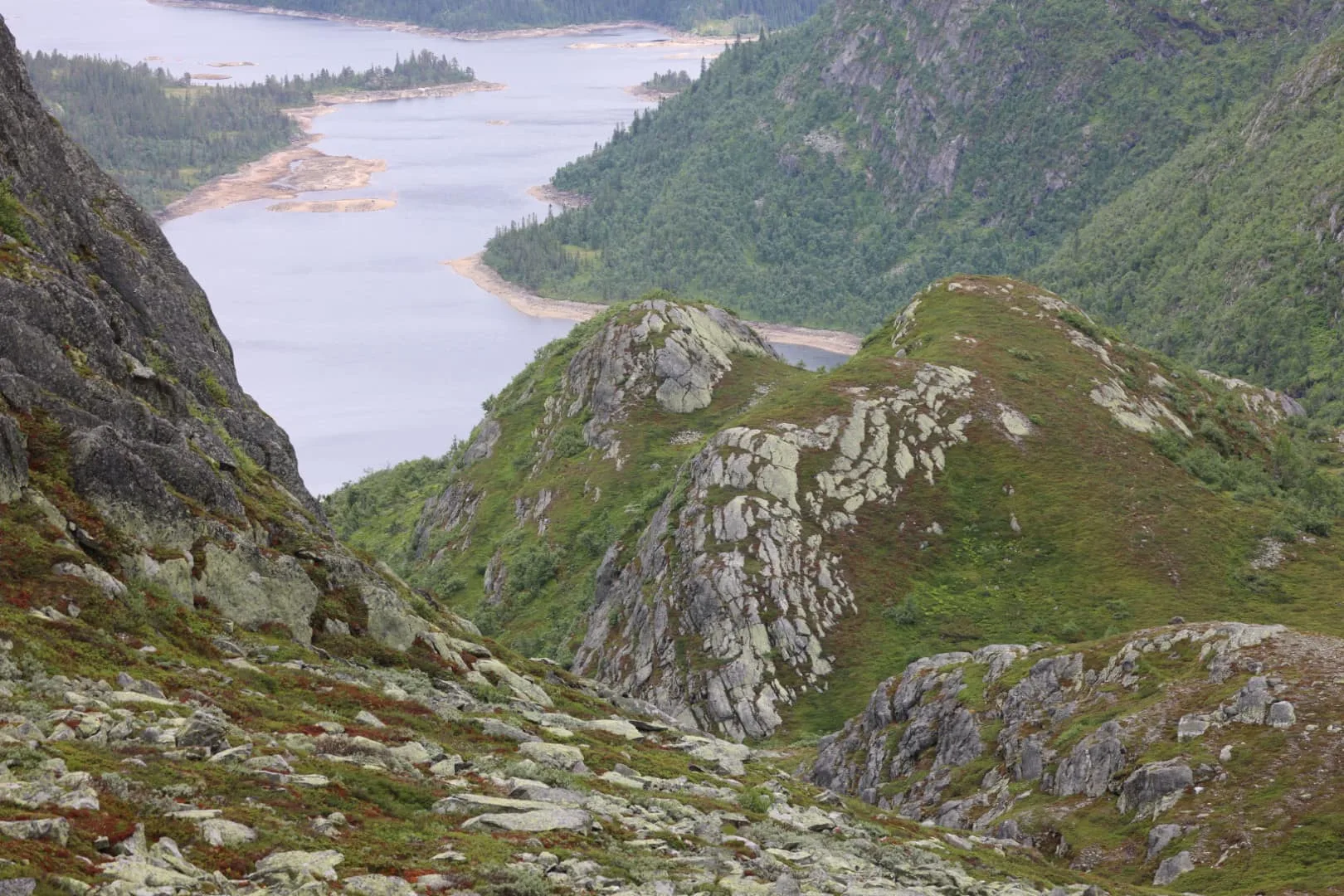 Marigrøi