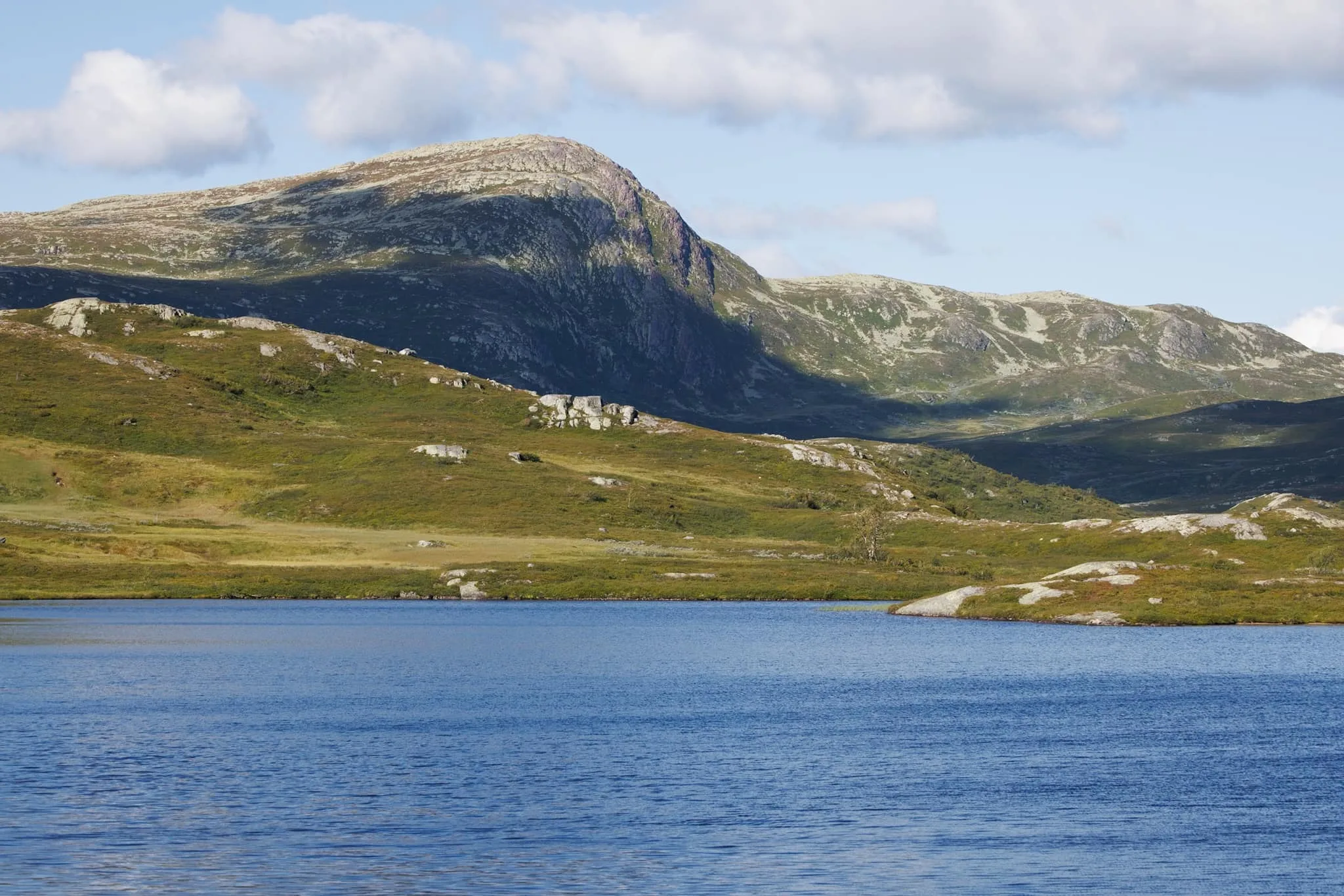Vindeggen