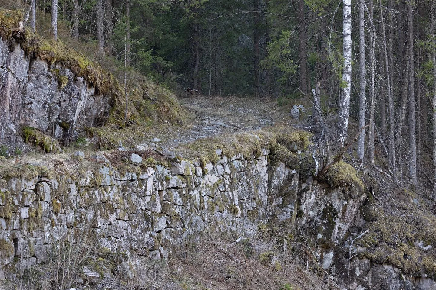 Vebekkdalen