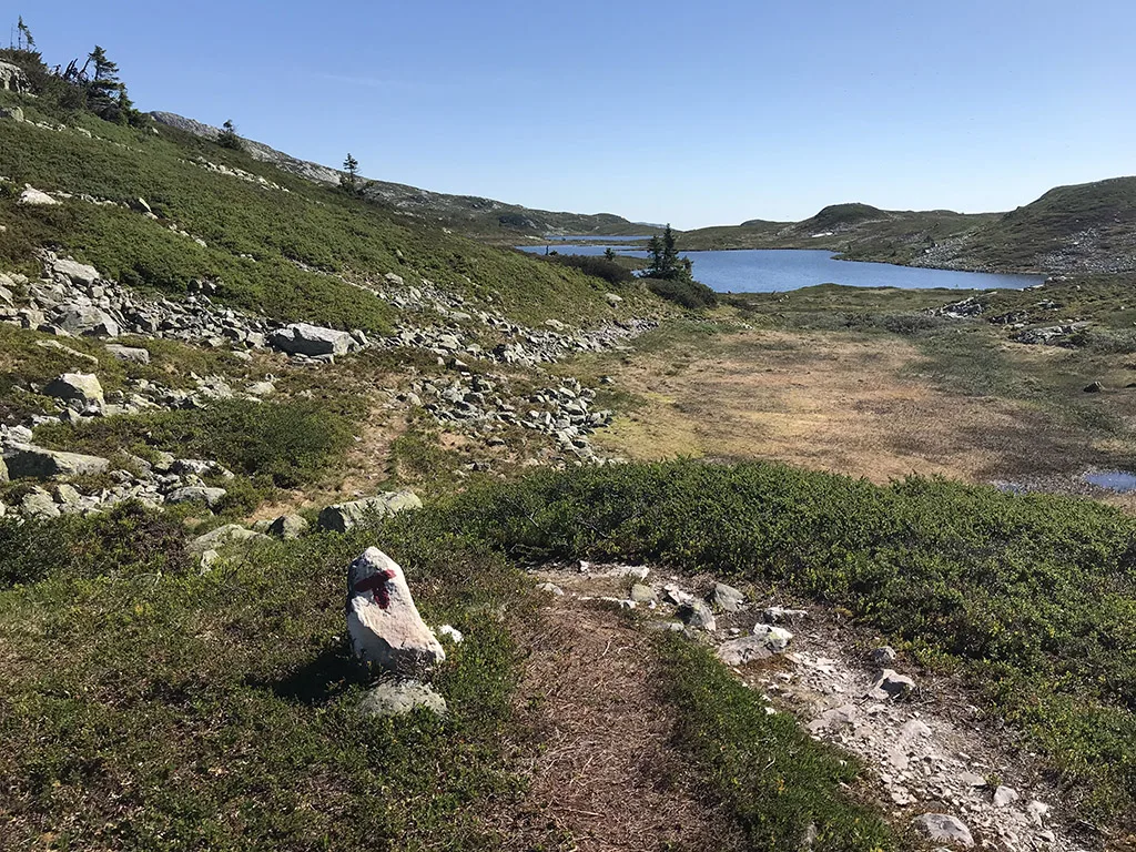 Lifjell 18-L3/3