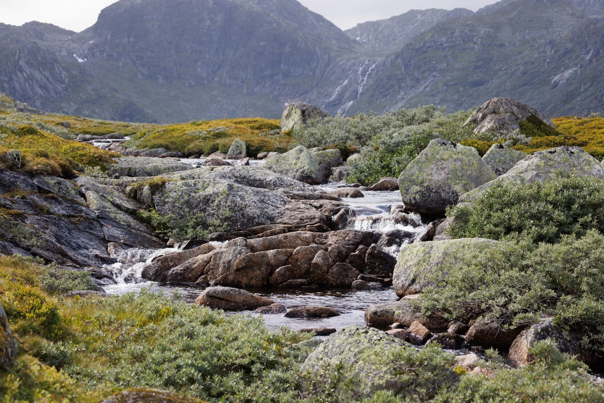 Botnedalen