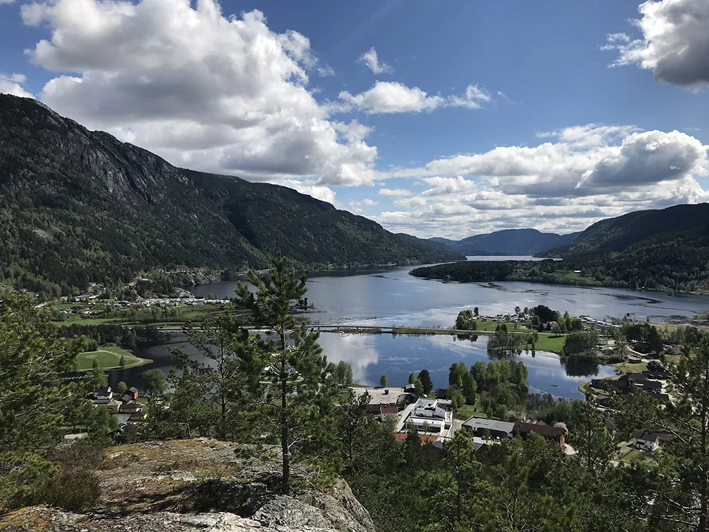Bringsåsnuten