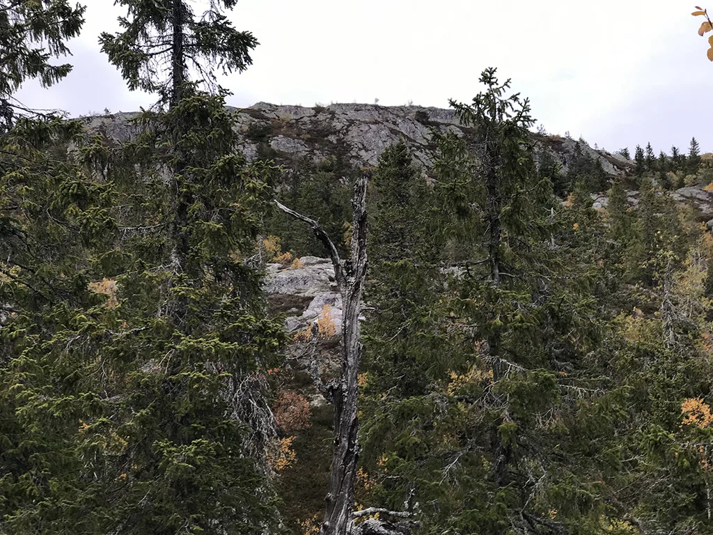 Skuggelifjell