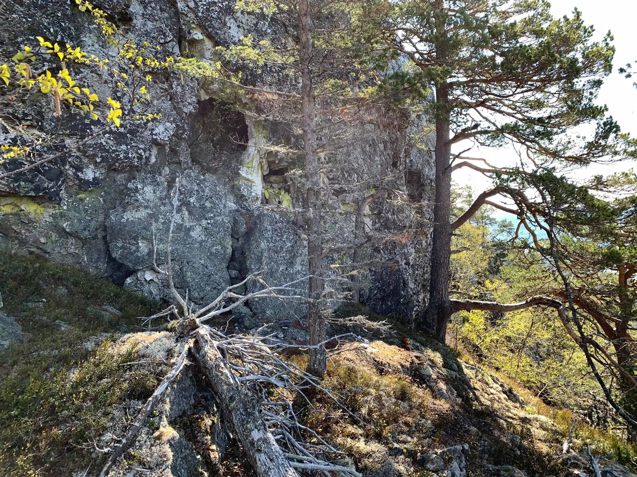 Geitekyrkja