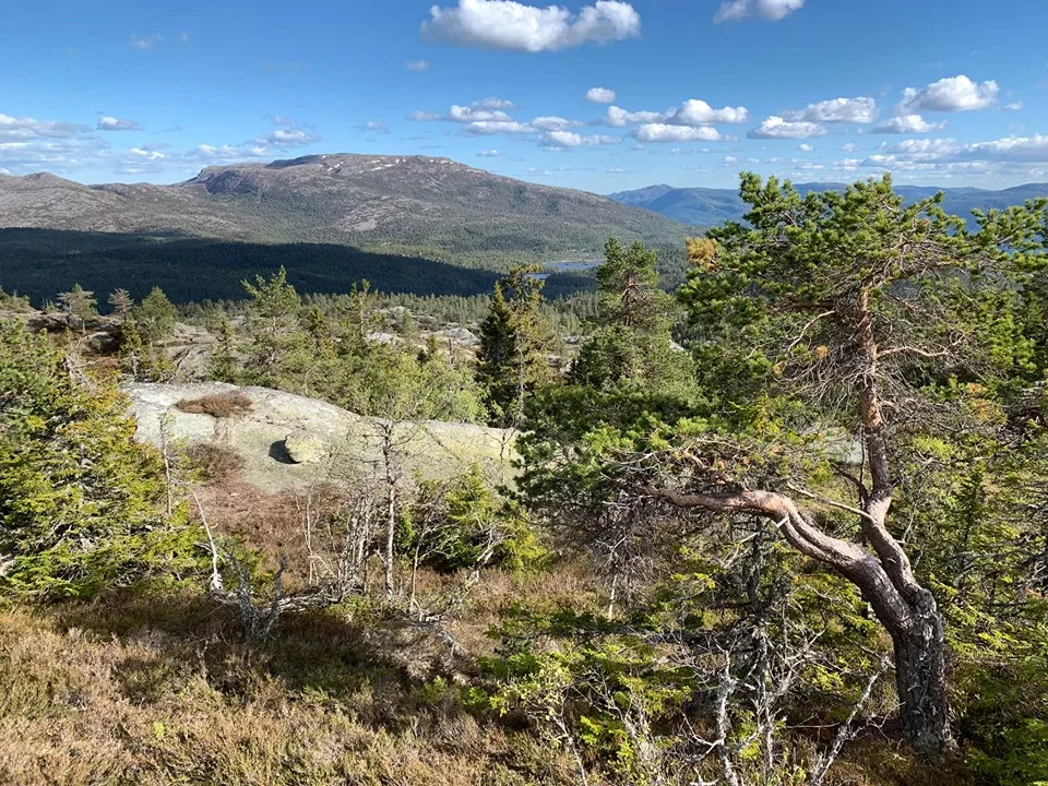 Brokefjell 19-L1/5