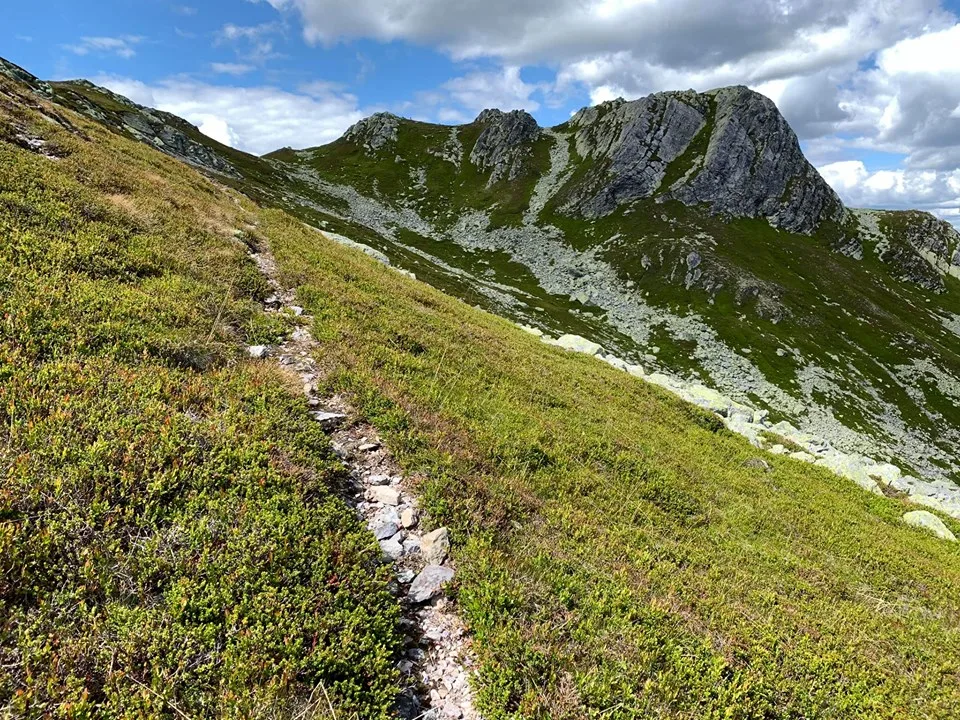 Hestenutan