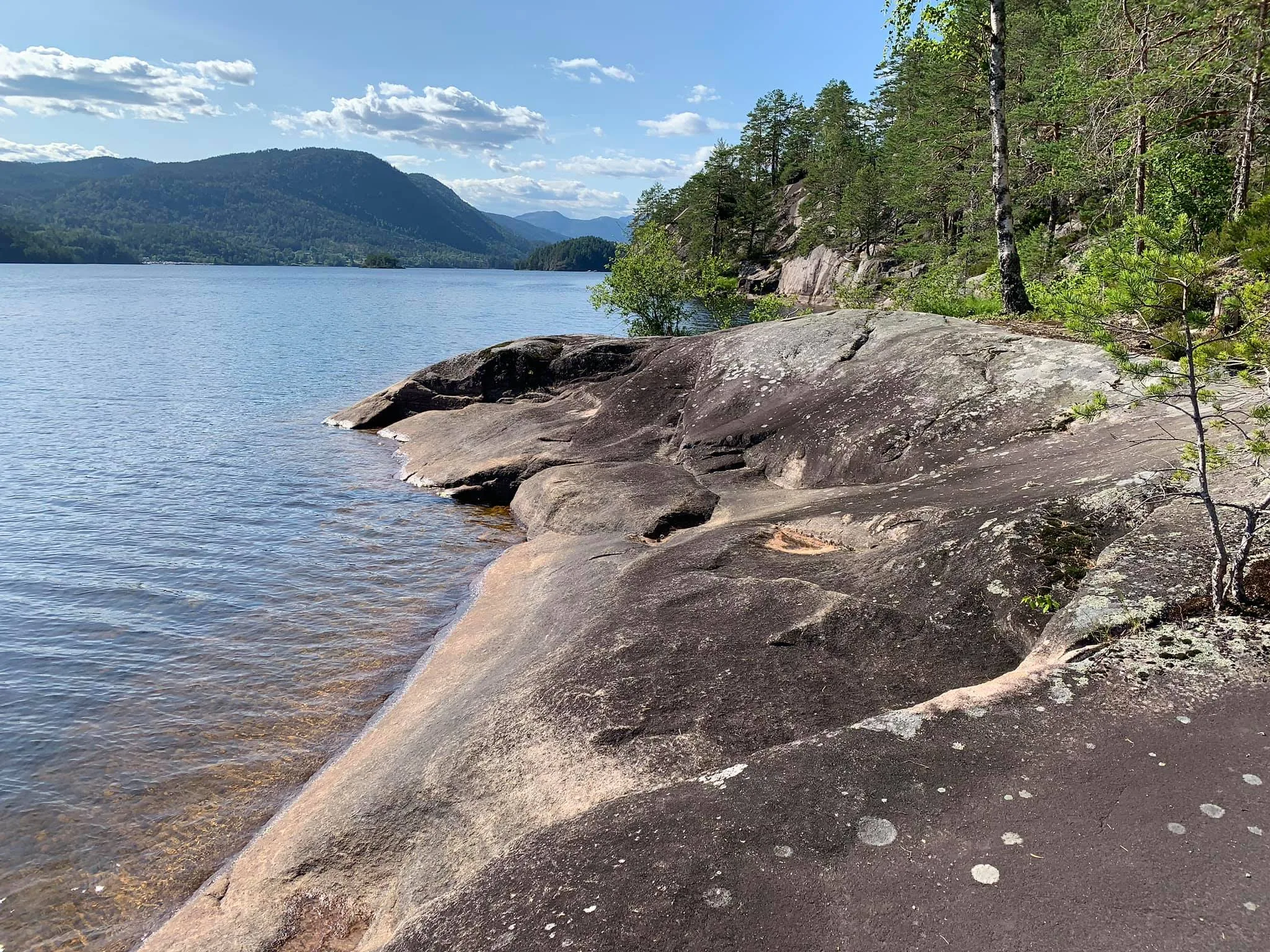 Telnesøy