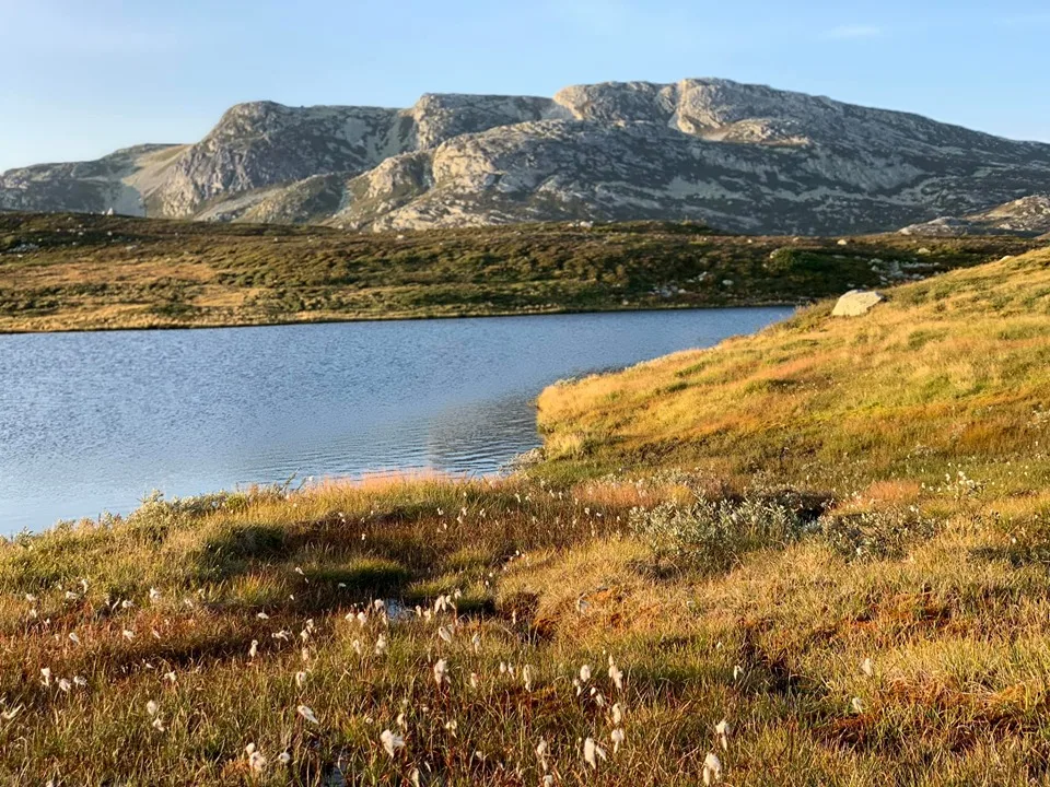 Lifjell 19-L4/5