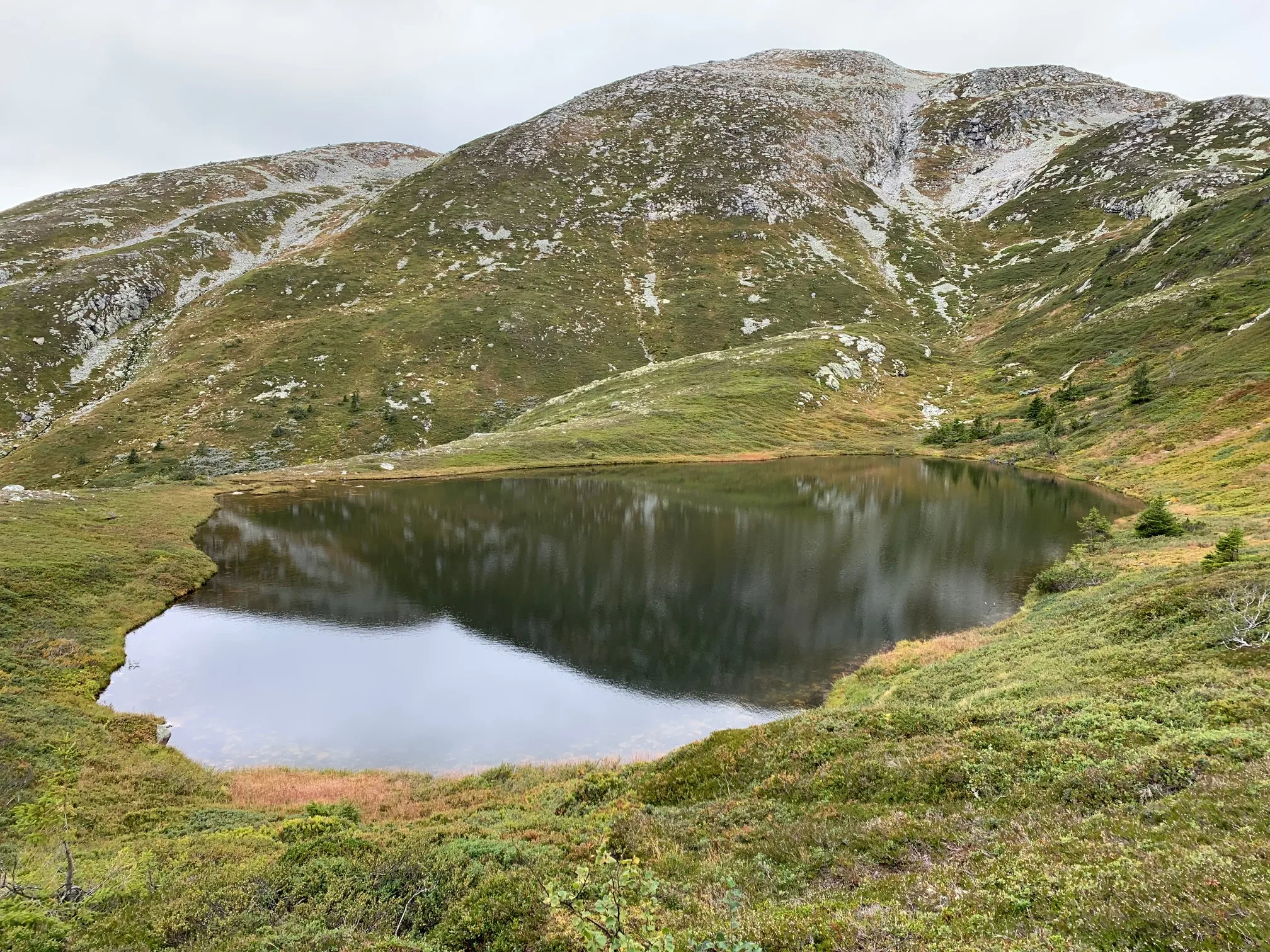 Humlenesfjellet