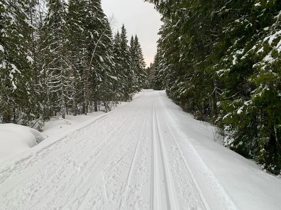 Tippen til Lomma