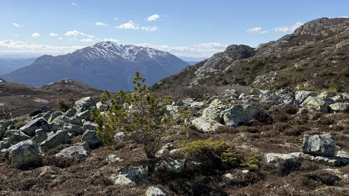 Vinterkåpa smeltar på Lifjell