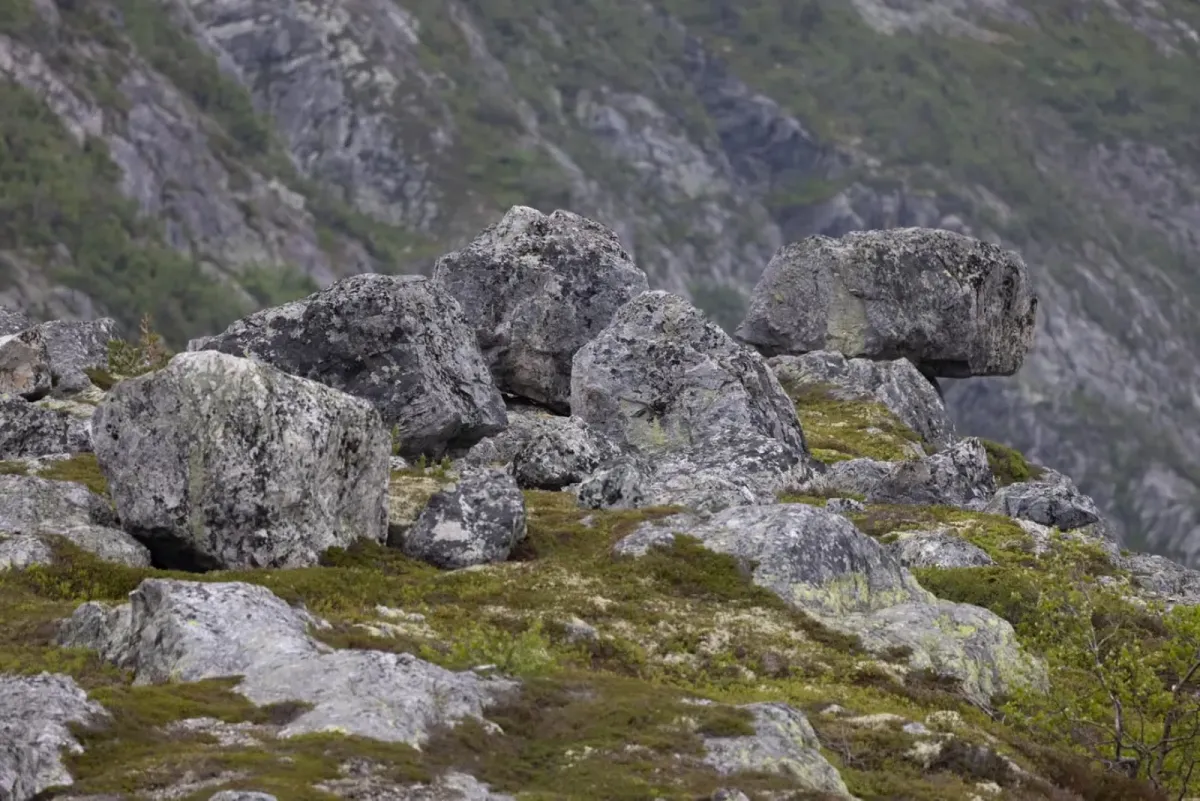 Wir machten uns auf den Weg nach Hestenutan, um die ersten kleinen Trolle am Finndalsbergi zu sehen