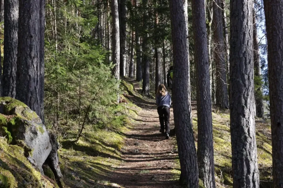 På fjellet er det ypperleg skiføre