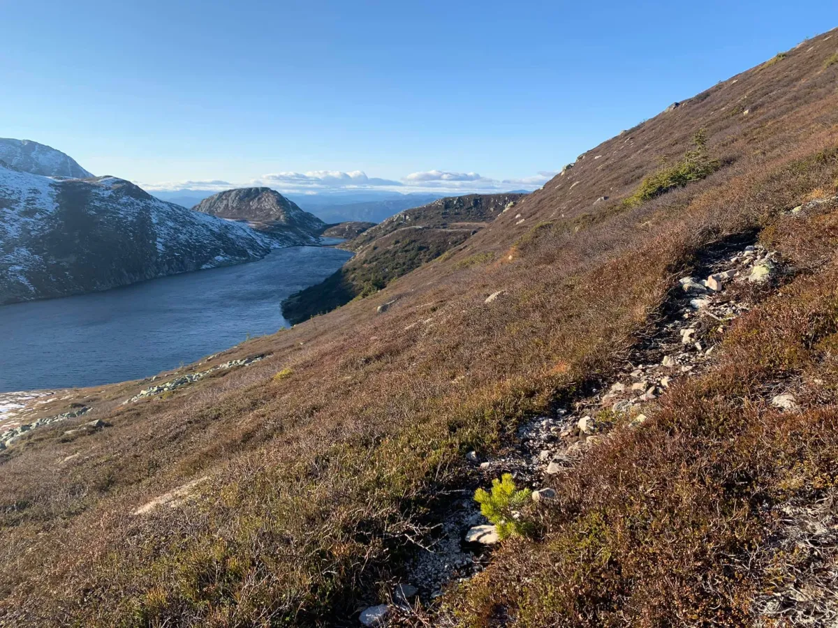 Varden på toppen