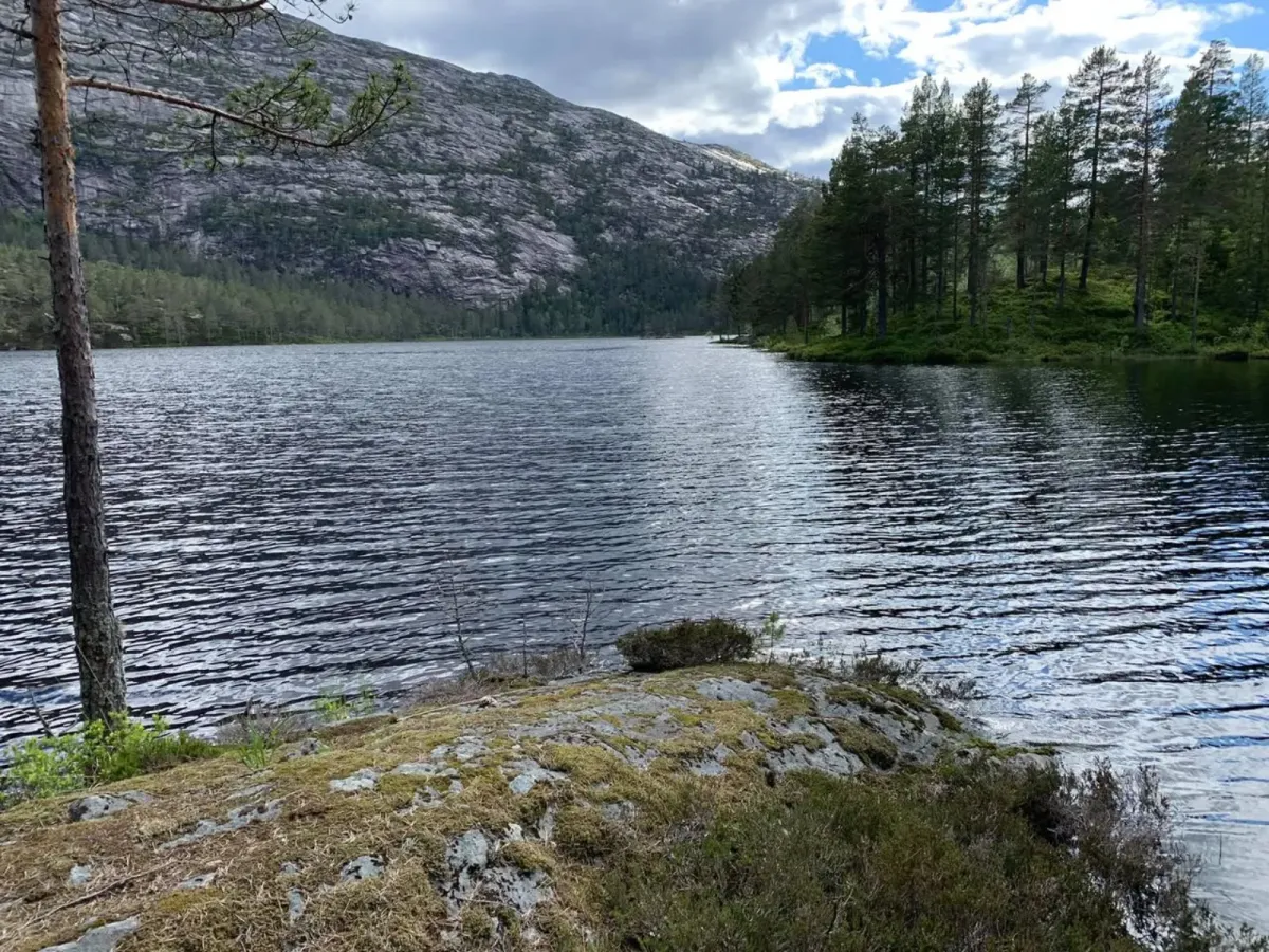 Pålbuvatn (445 moh)