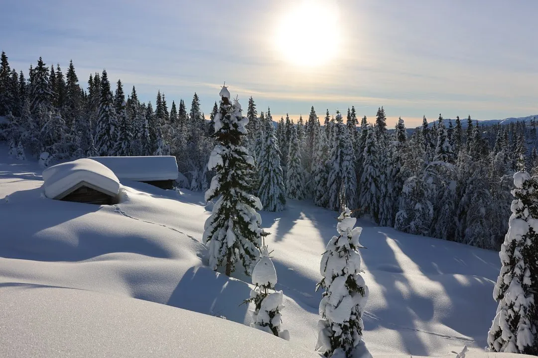 Das ist das, was man einen 100%igen Wintertag nennen könnte! -6 und Sonnenschein