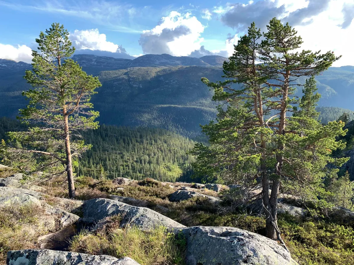 Utsikt mot Skorve