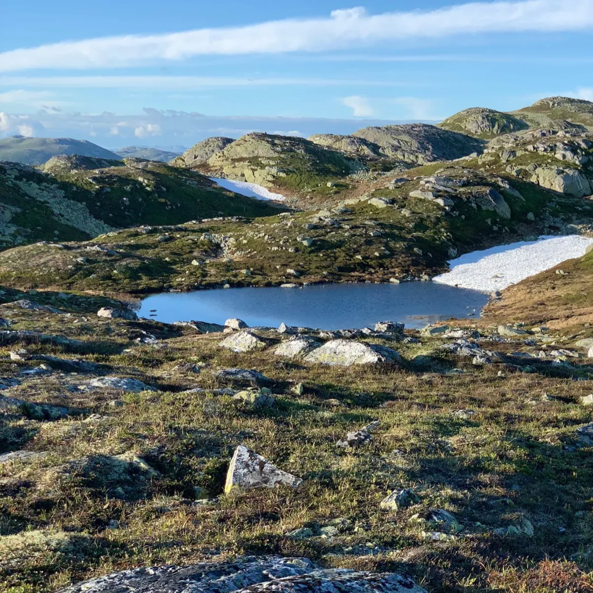 Besonders schön sind die Røysdalstjønnan, die vor den Røysdalsnuten (1295 Meter über dem Meeresspiegel) auf dem Lifjell im Seljord liegen.