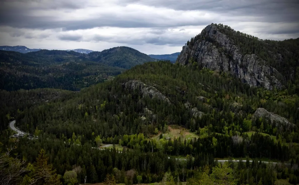 Ikkje heilt ulikt Flåklypatoppen dette. Skogsoddtoppen er markant og artig. Under 1 km opp frå Vigdesjå og Kyrdalen.