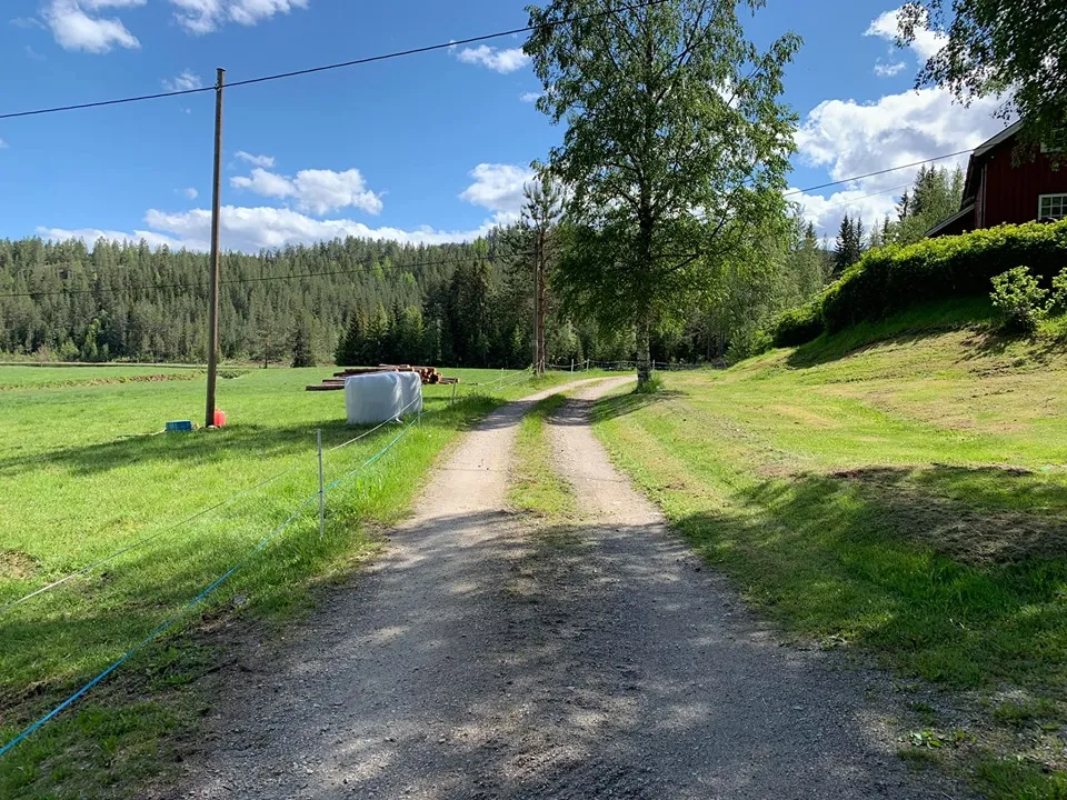 Start fra Heivegen