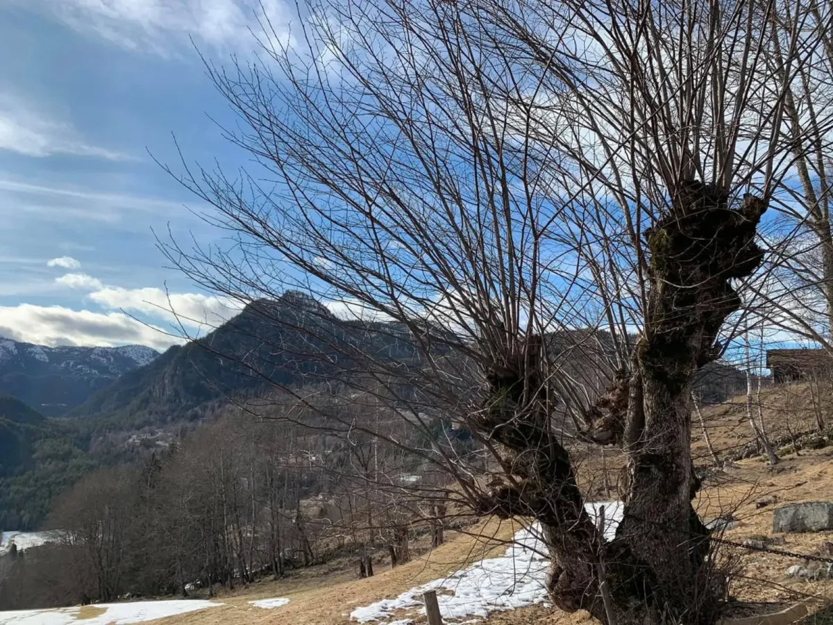 Flatdal ist ein großartiger Ort zum Wandern