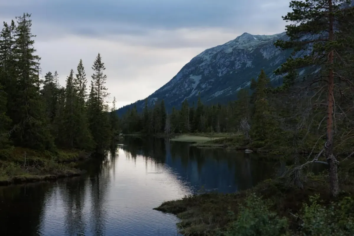 Slåkja - vårt eget Alaska