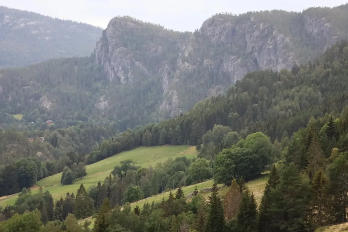 Ein kurzer Waldspaziergang zwischen Raudbergnuten und Kyrkjeberget