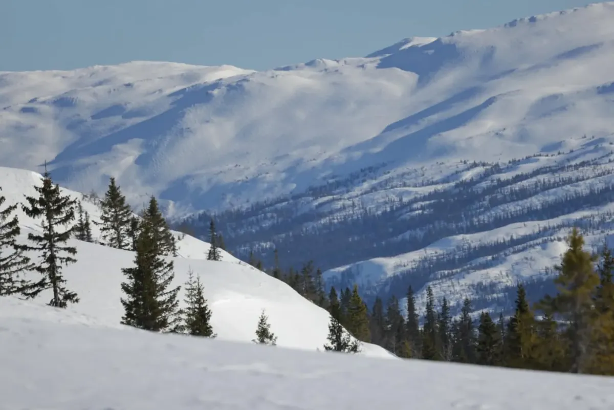 Winter im Brattefjell