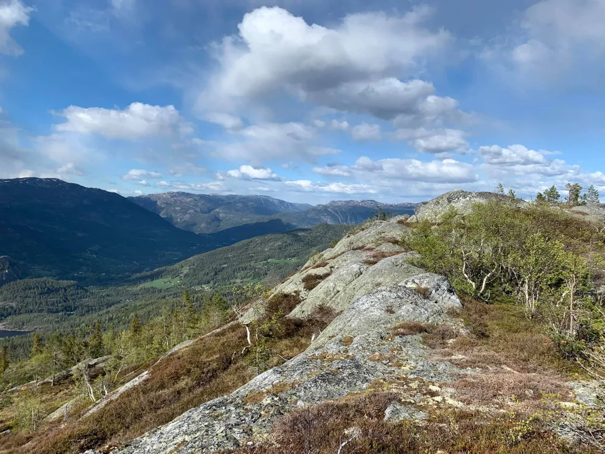 God ursikt mot Nordbygdi