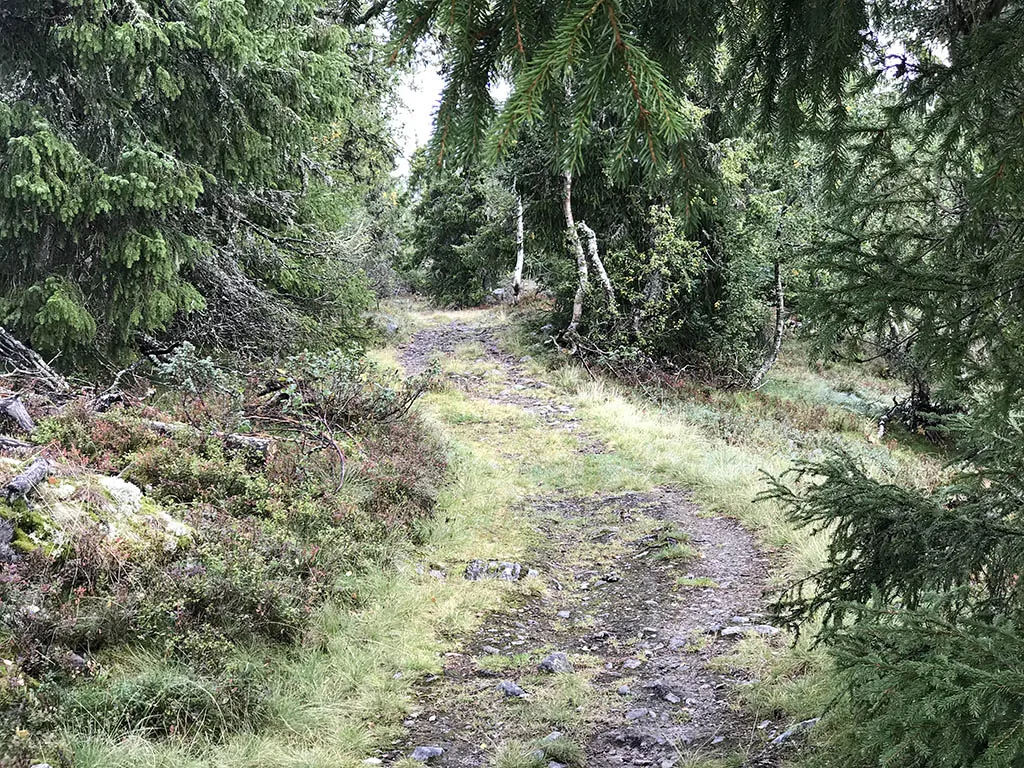 Svartdalsheiane
