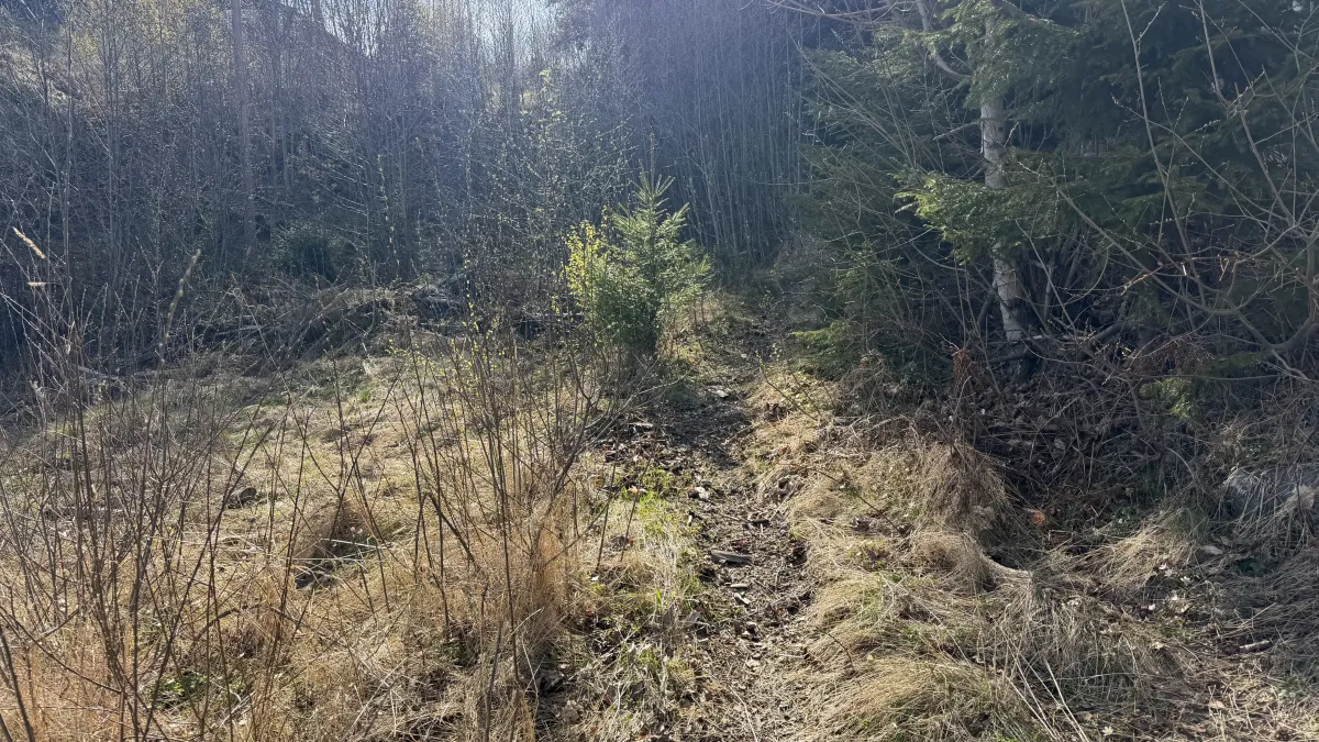 Hattefjell med utsikten