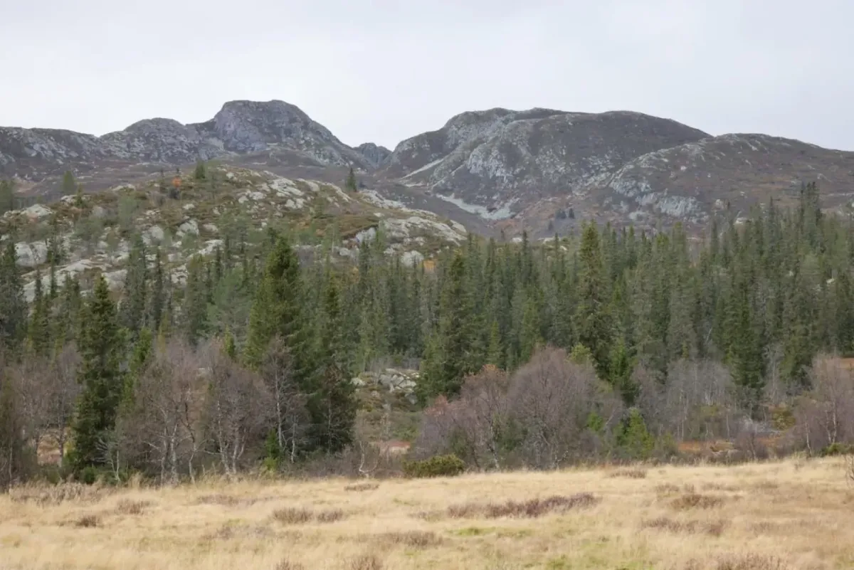 Fyljomsnuten (1169 moh)